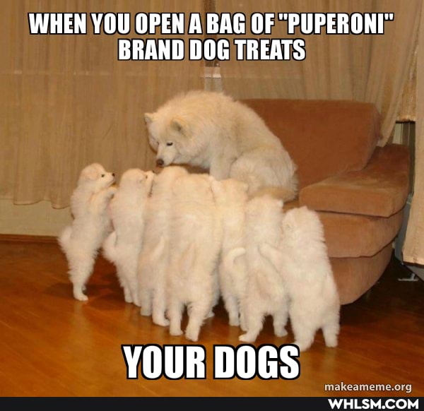 WHEN YOU OPEN A BAG OF "PUPERONI"
BRAND DOG TREATS
YOUR DOGS