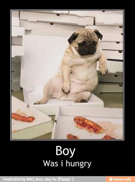 Boy
Was i hungry
