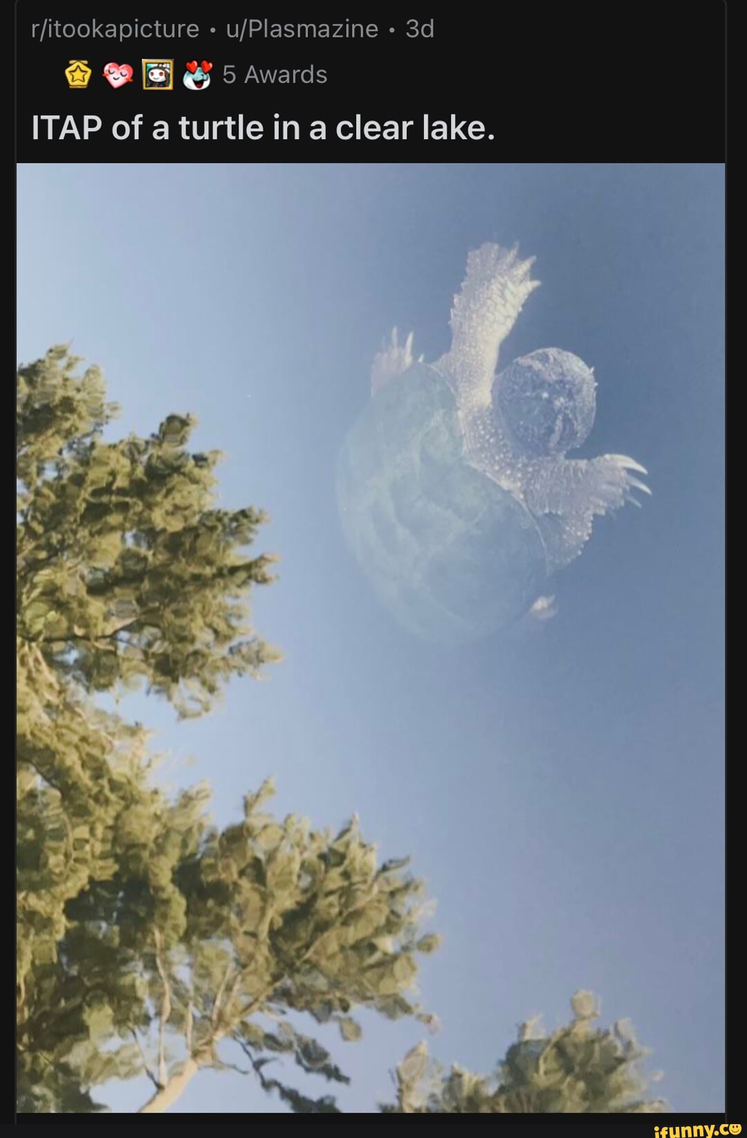 This picture shows Heather Price Papayoti looking over the Hoover Dam  bypass bridge on January16, 2014. Just moments later, shejumped over the  railing and ended her own life. - iFunny