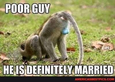 POOR GUY
HE IS. DEFINITELY MARRIED