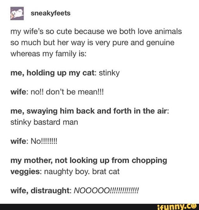 E
my wife’s so cute because we both love animals
so much but her way is very pure and genuine
whereas my family is:
me, holding up my cat: stinky
wife: no!! don't be mean!!!
me, swaying him back and forth in the air:
stinky bastard man
wife: N0!!!!!!!!
my mother, not looking up from chopping
veggies: naughty boy. brat cat
wife, distraught: NOOOOO!!!!/!!./!!!!!!