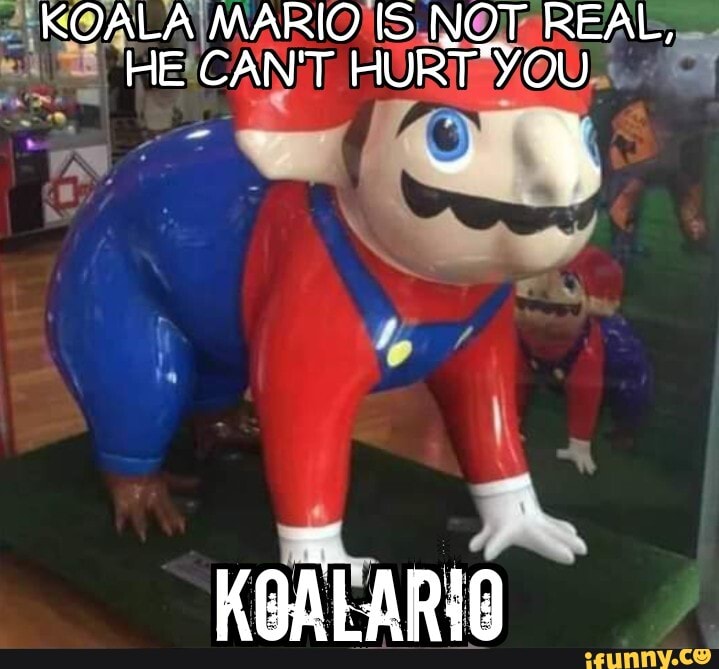 KOALA MARIO IS NOT REAL, HE CAN'T HURT 'YOU ARIA - iFunny