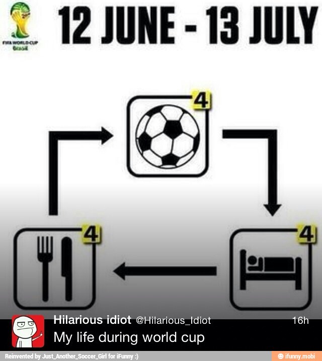 S Hilarious idiot @Hilarious_Idiot
má My life during world cup