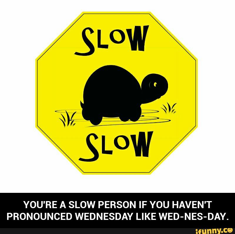 Стадо черепах бегущих. Медленный рисунок. Slow m. Go slow. Slow m.