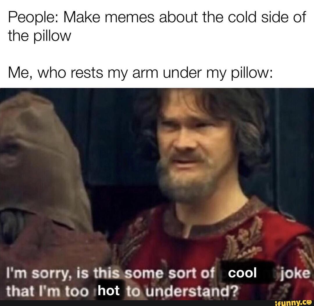 People: Make memes about the cold side of the pillow Me, who rests my ...