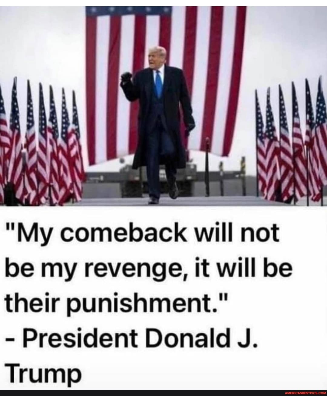 An\ "My comeback will not be my revenge, it will be their punishment." -  President Donald J. Trump - America's best pics and videos