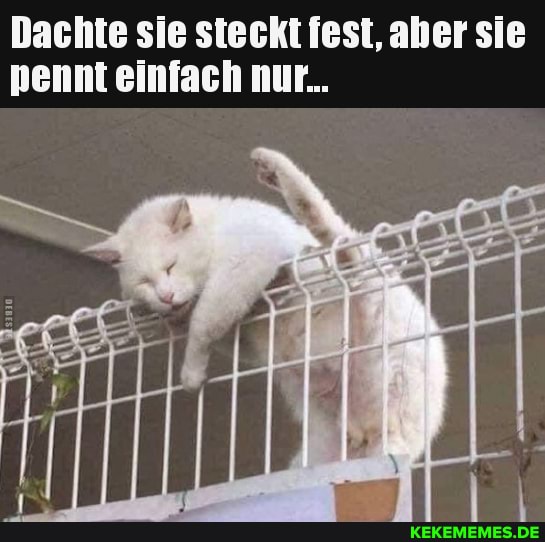 Dachte sie stecht iest, aber sie