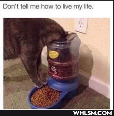 Don't tell me how to live my life