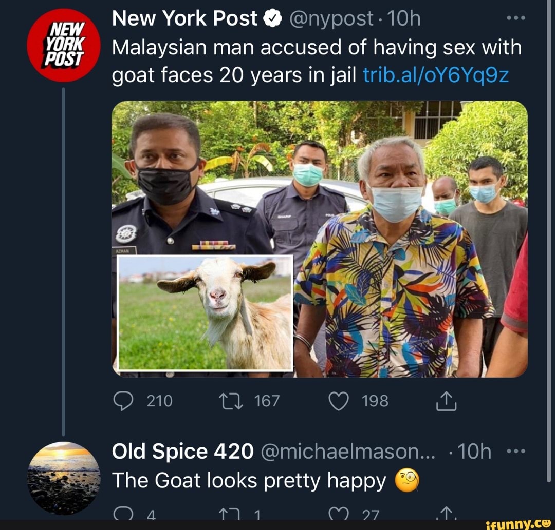 YORK POST New York Post @ @nypost- Malaysian man accused of having sex with  goat faces 20 years in jail 210 Old Spice 420 The Goat looks pretty happy ~  - iFunny