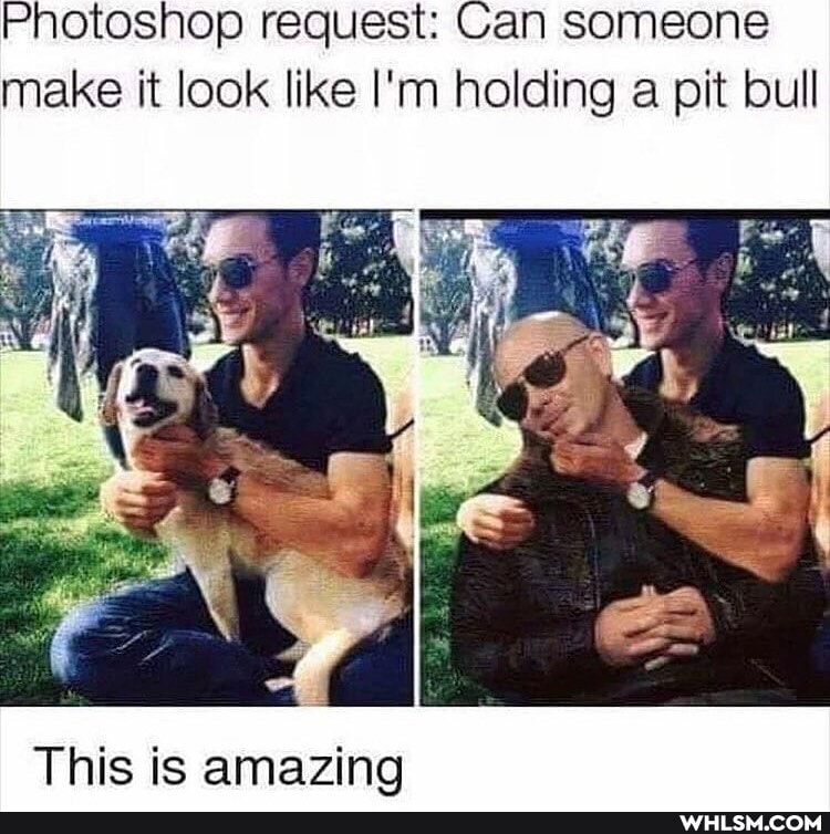 Photoshop request: Can someone make it look like I'm holding a pit bull
This is amazing