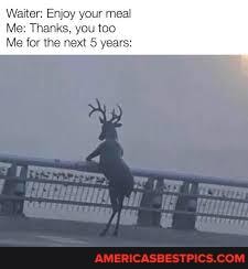 Me for the next years: