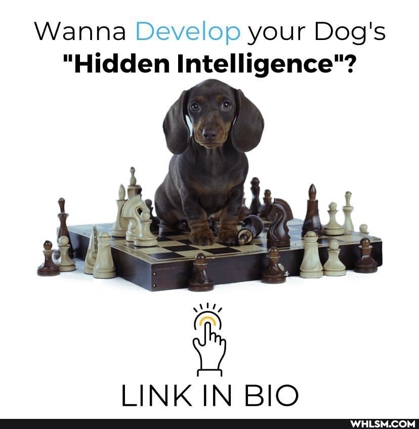 Wanna Develop your Dog's
"Hidden Intelligence"?
LINKIN BIO