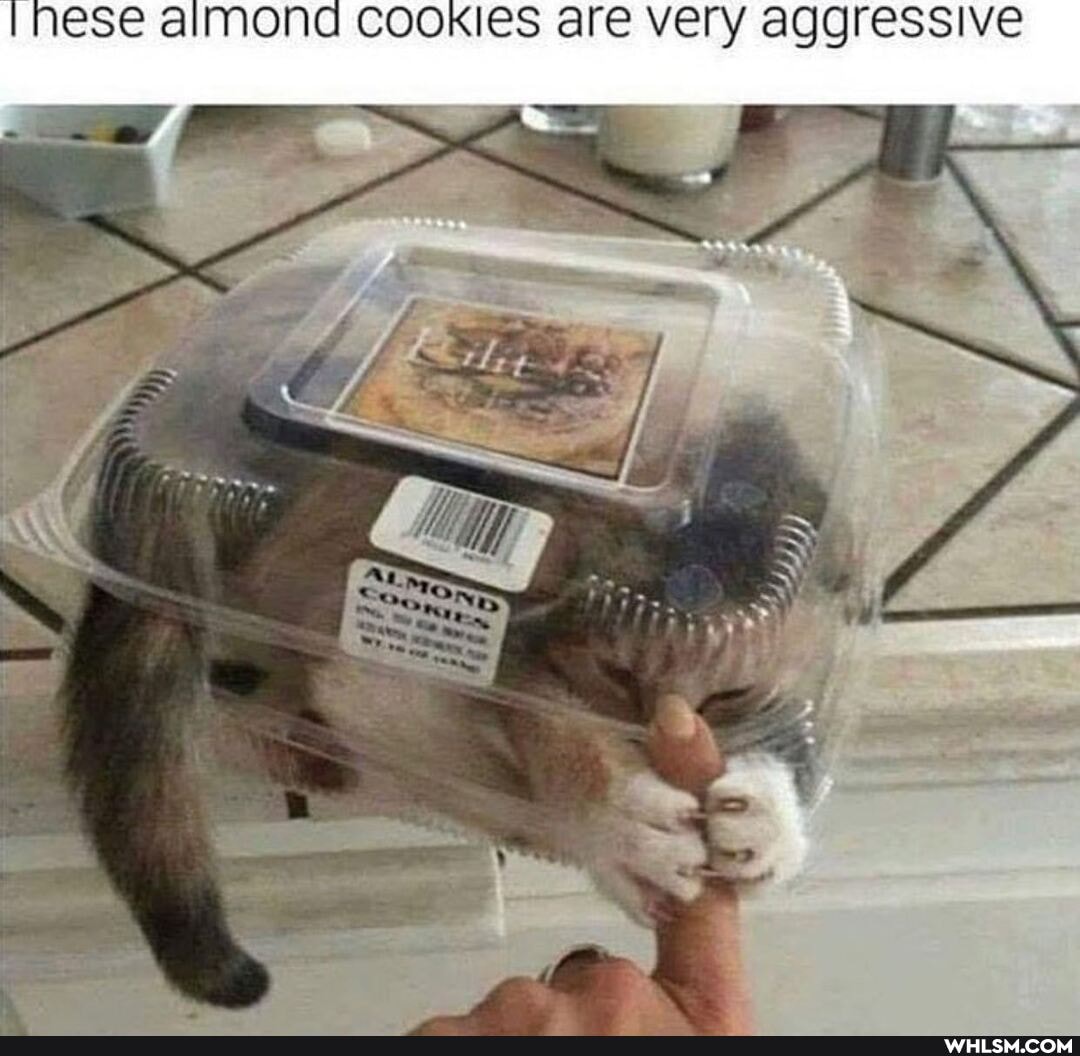 aimond COOKIES are very aggressive