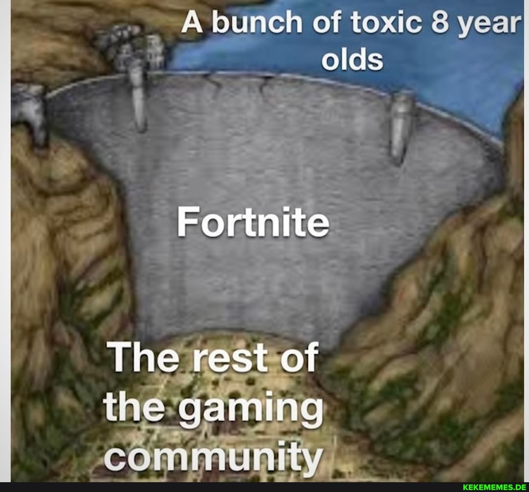 ~A bunch of toxic 8 year olds
Fortnite
The rest of
the gaming
COF