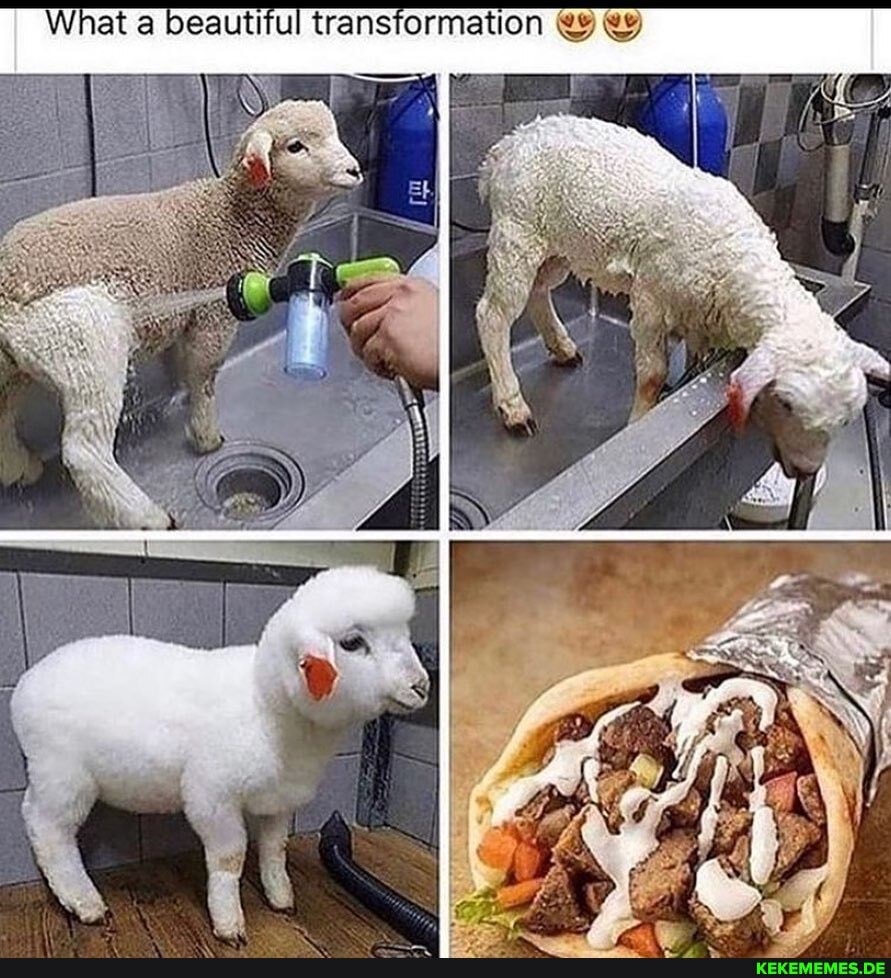 What a beautiful transformation