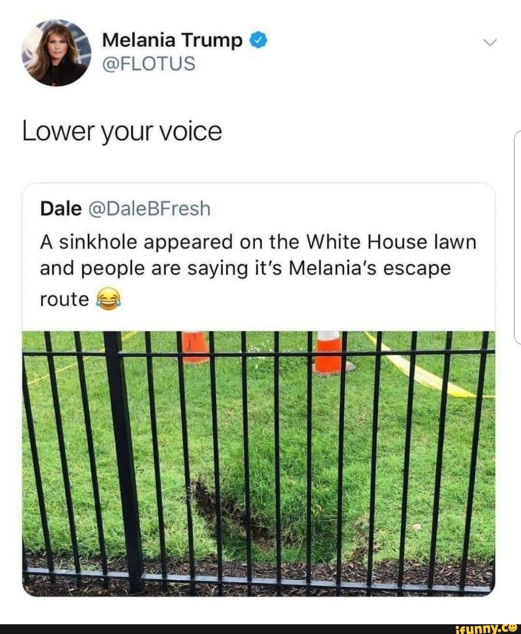 Lower your voice
Dale @DaleBFresh
A sinkhole appeared on the White House lawn
and people are saying it's Melania's escape
route &3