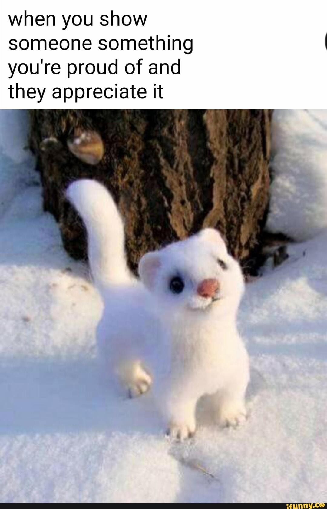 when you show
someone something
you're proud of and
they appreciate it