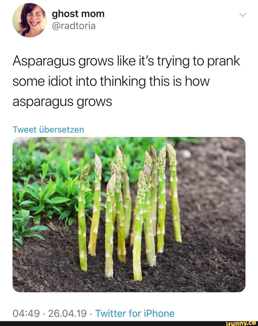 Asparagus grows like it’s trying to prank some idiot into thinking this