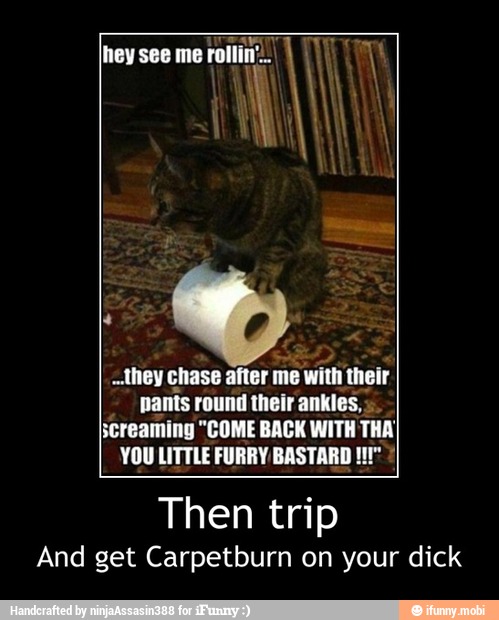 hey see me
roll Ti
RA REA
e
-lhey chase after me
with their
pants round their ankles,
screaming "COME BACK WITH THA!
YOU LITTLE FURRY BASTARD Then trip
And get Carpetburn on your dick - Then trip
And get Carpetburn on your dick