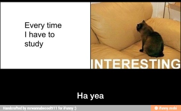 Every time
I have to
study - Ha yea