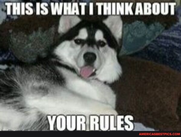 THIS OS WHAT THINK ABOUT
VOUR