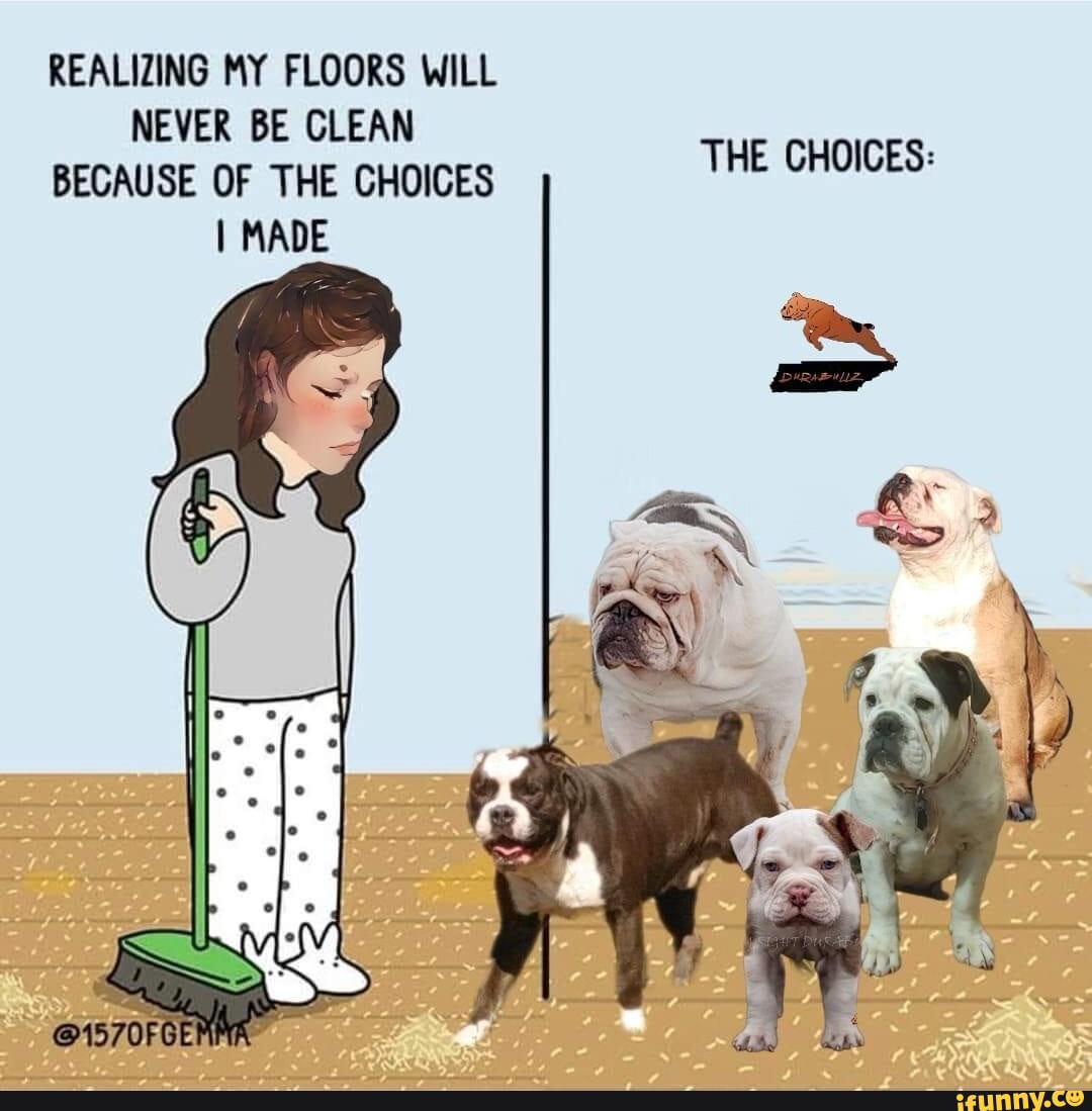 REALIZING MY FLOORS WILL NEVER BE CLEAN BECAUSE OF THE CHOICES I MADE ...