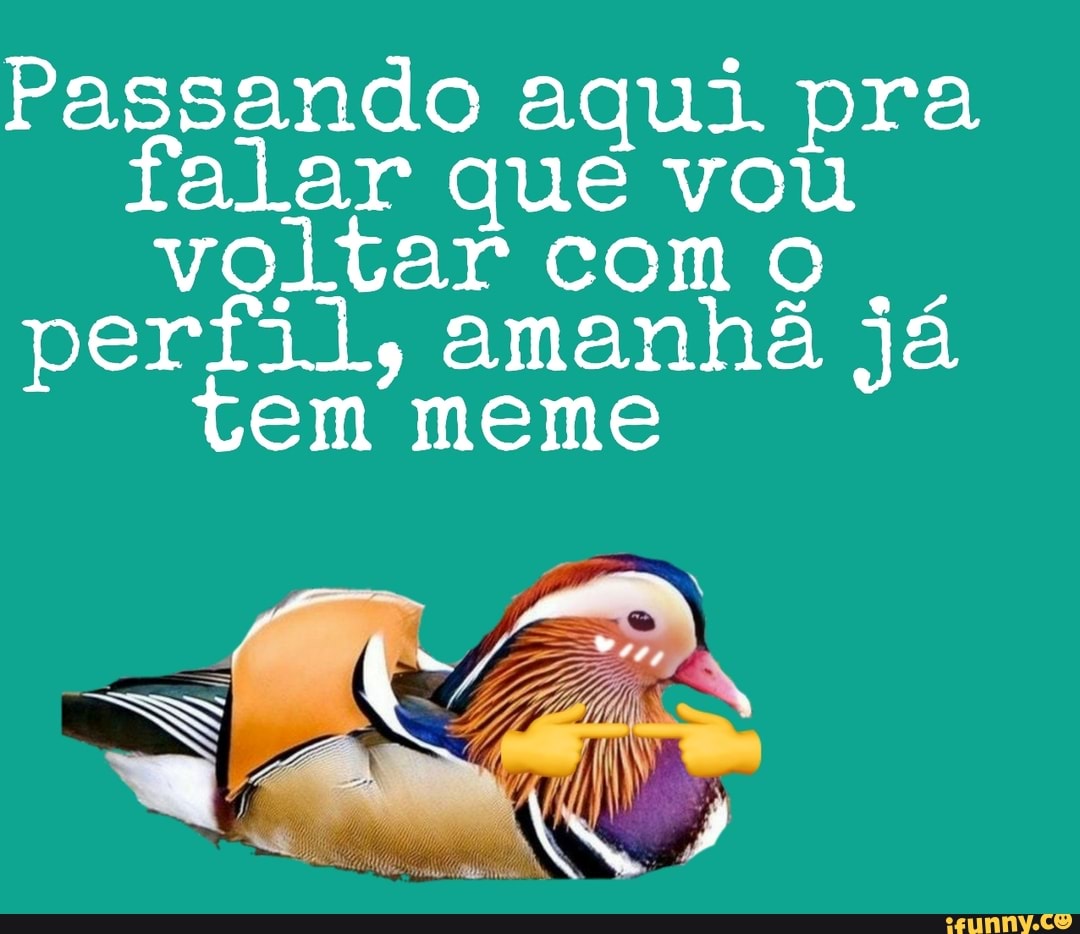 Passando aqui pra falar que vou voltar como
perfil, amanhã já
tem meme