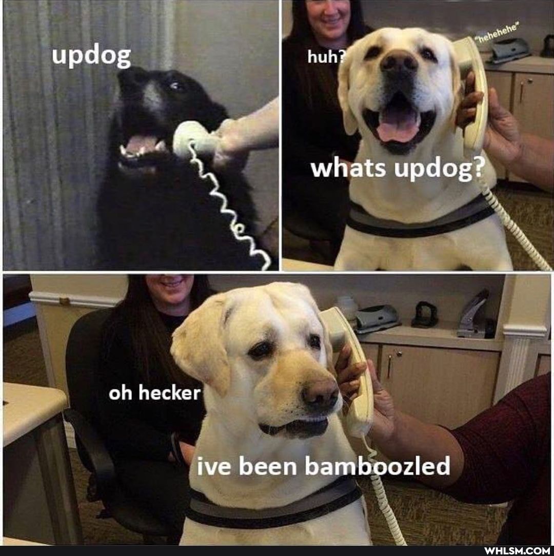 updog
huhe
whats updog?
oh hecker
ive been bamboozled