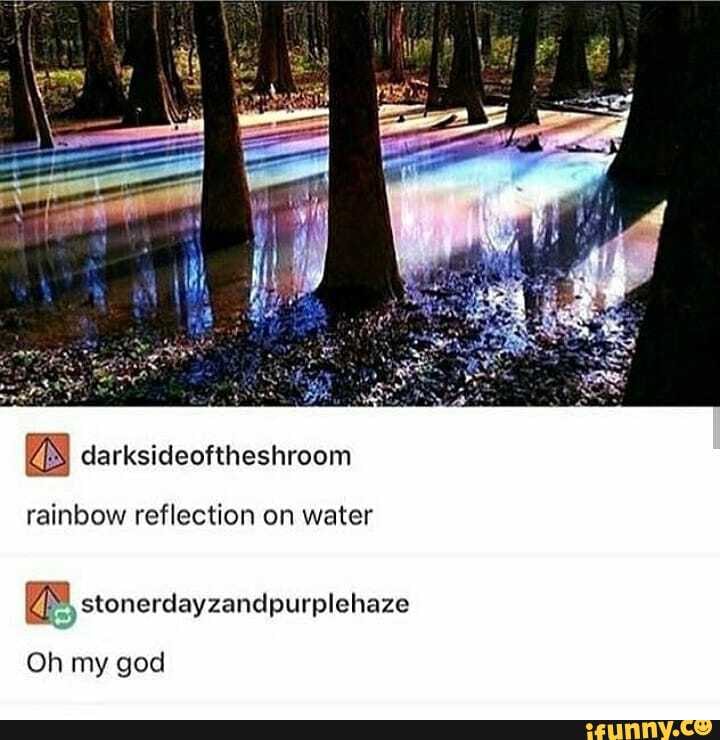 rainbow reflection on water
Oh my god