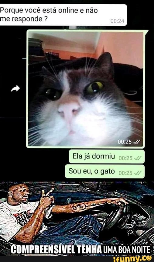 Porque você está online e não
me responde
Ela já dormiu quas
Sou eu, gato
EDMPREENSÍVEL TENHA UMA BOA NOITE