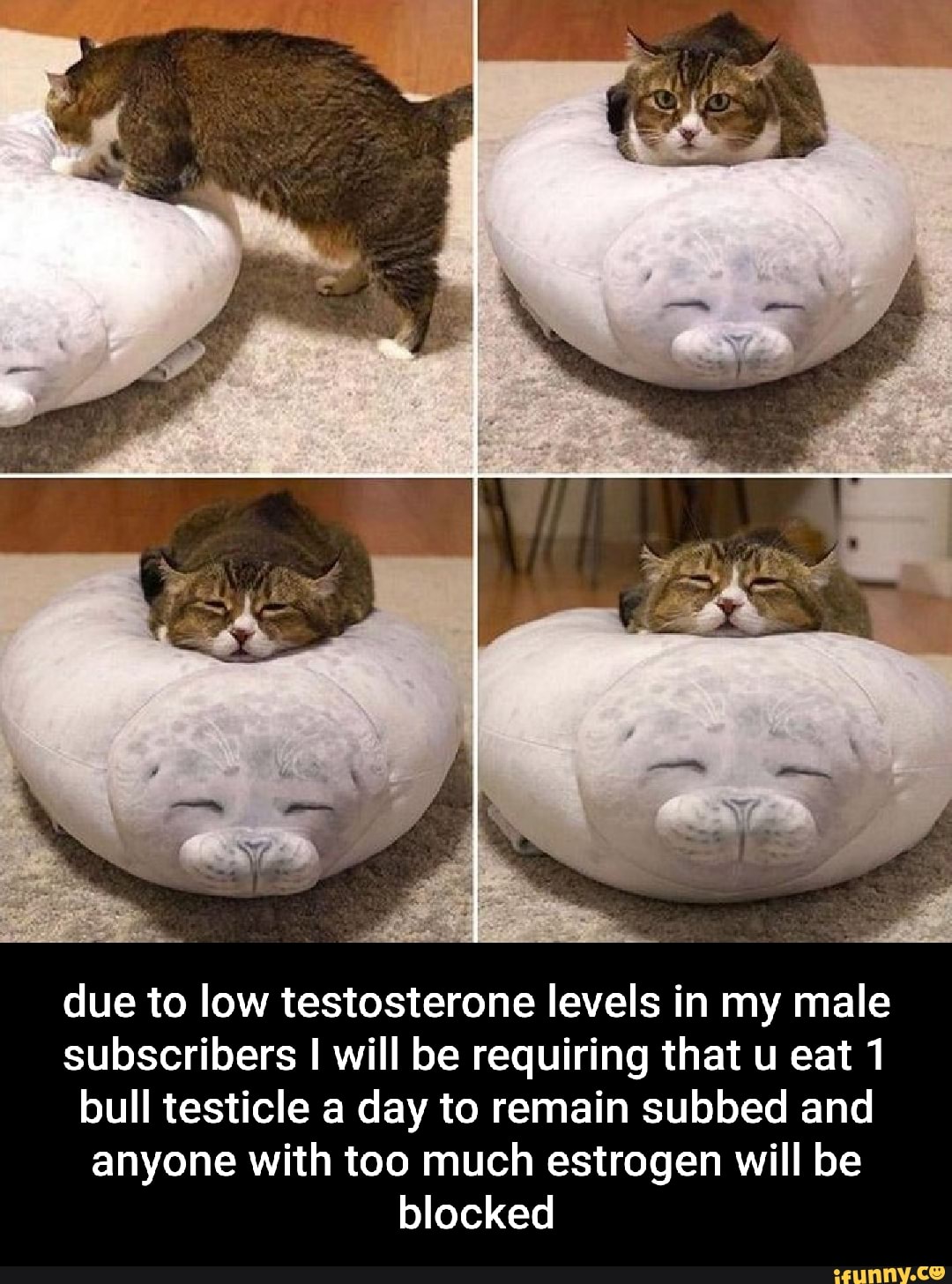 Testicle memes. Best Collection of funny Testicle pictures on iFunny