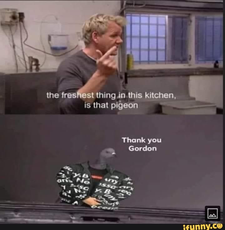 Tongs memes. Best Collection of funny Tongs pictures on iFunny