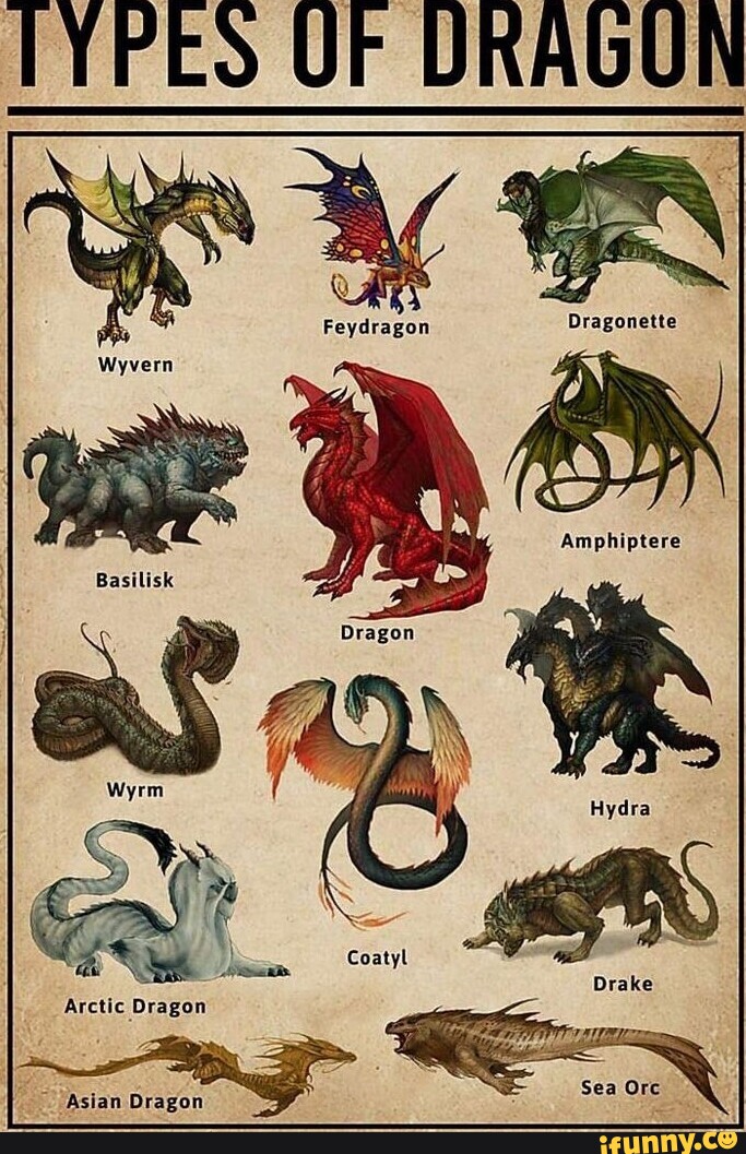 types-uf-dragun-dragonette-amphiptere-basilisk-coatyl-drake-arctic