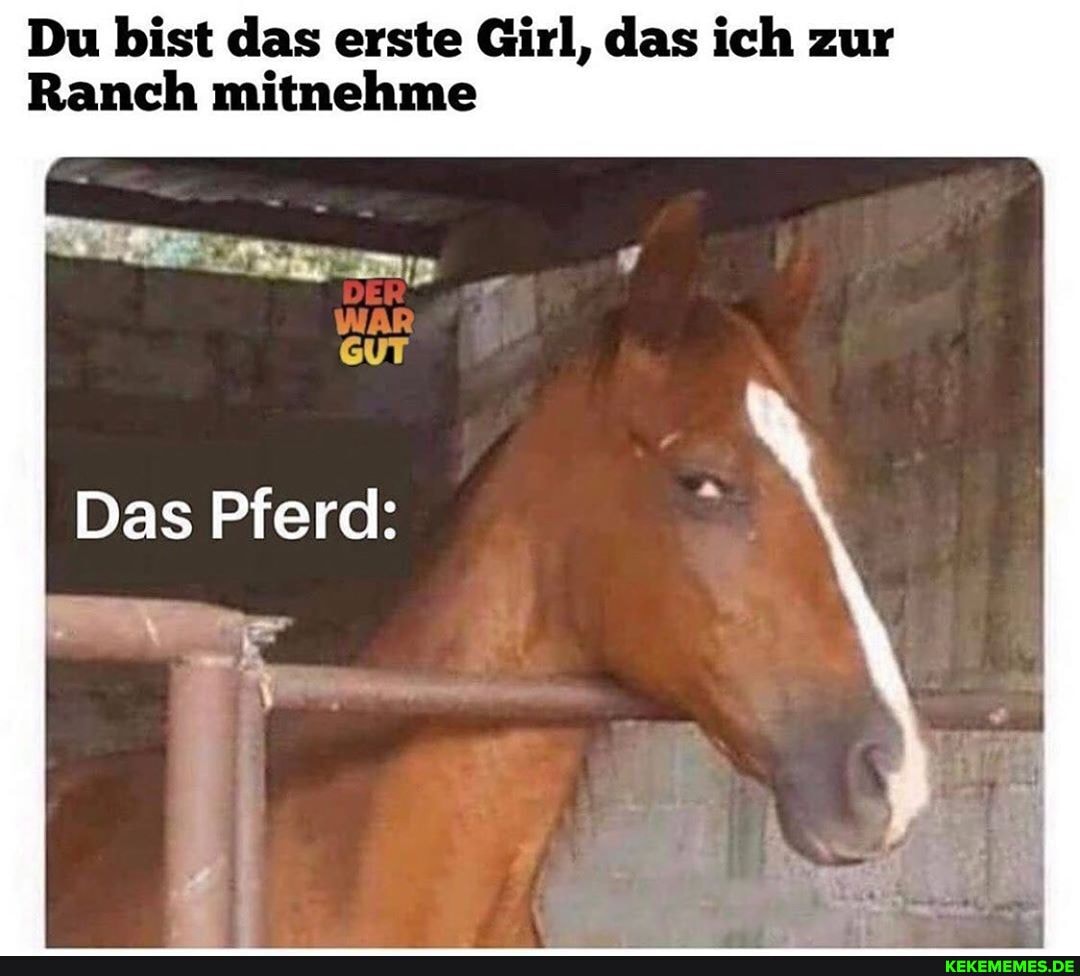 Du bist das erste Girl, das ich zur
Ranch mitnehme
GUT
Das Pferd: