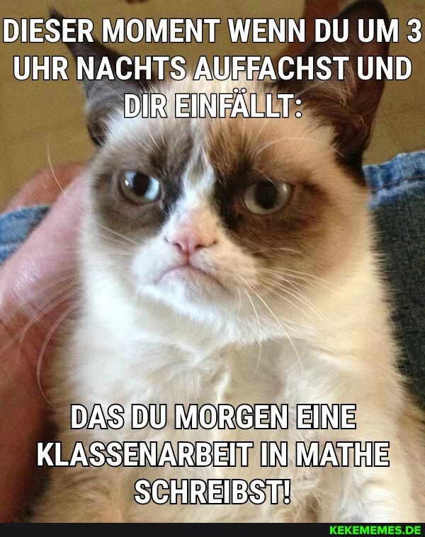 DIESER MOMENT WENN DU UM 3
UHR NACHTS AUFFACHST UND DIR EINFÄLLT:
DAS DU MORGEN EINE KLASSENARBEIT IN MATHE SCHREBST!