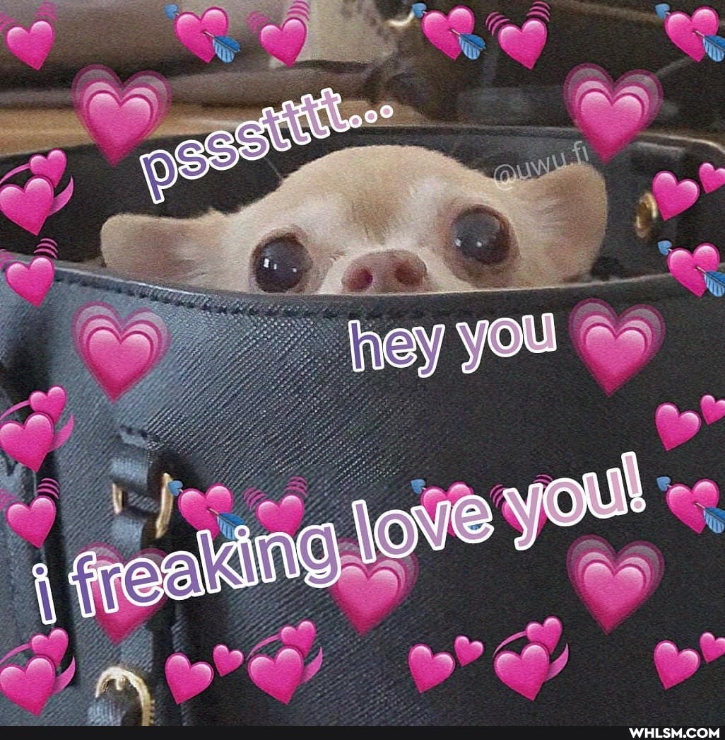 hey you
you