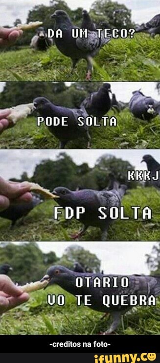 -creditos na foto-