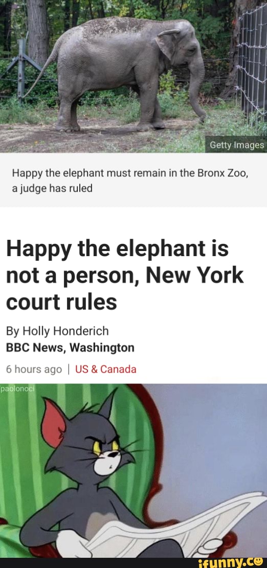 Gatty images Happy the elephant must remain in the Bronx Zoo, a judge