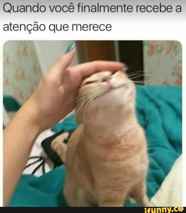 Quando você finalmente recebe a
atenção que merece