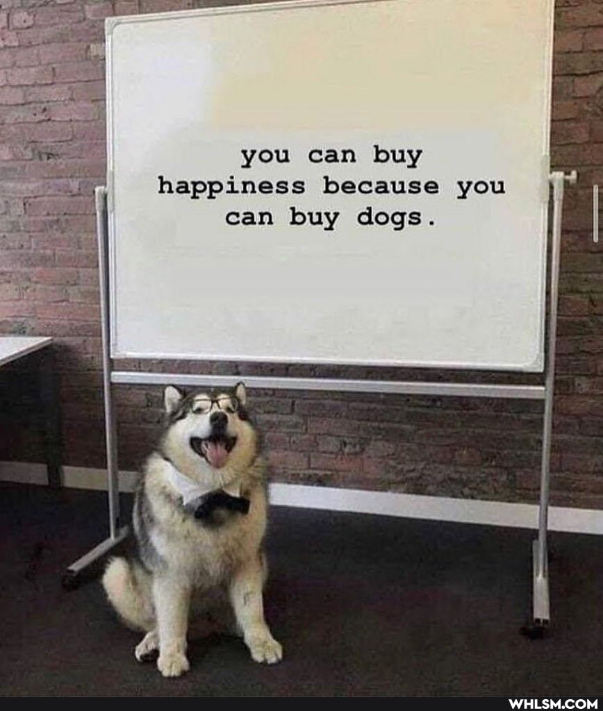you can buy happiness because you can buy dogs.
SS
al