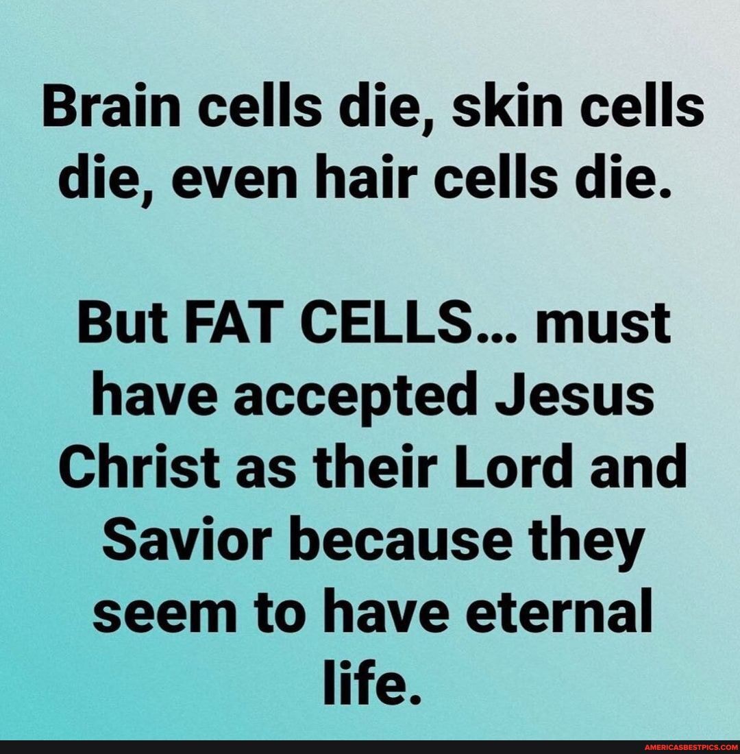 Brain cells die, skin cells die, even hair cells die. But FAT CELLS ...