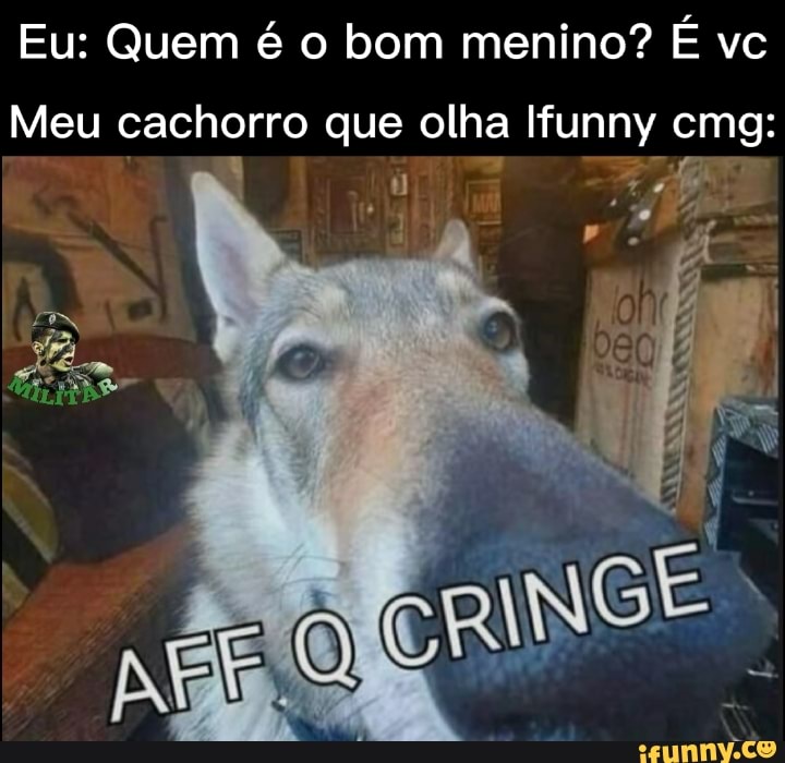 Eu: Quem é o bom menino? É vc
Meu cachorro que olha Ifunny cmg:
