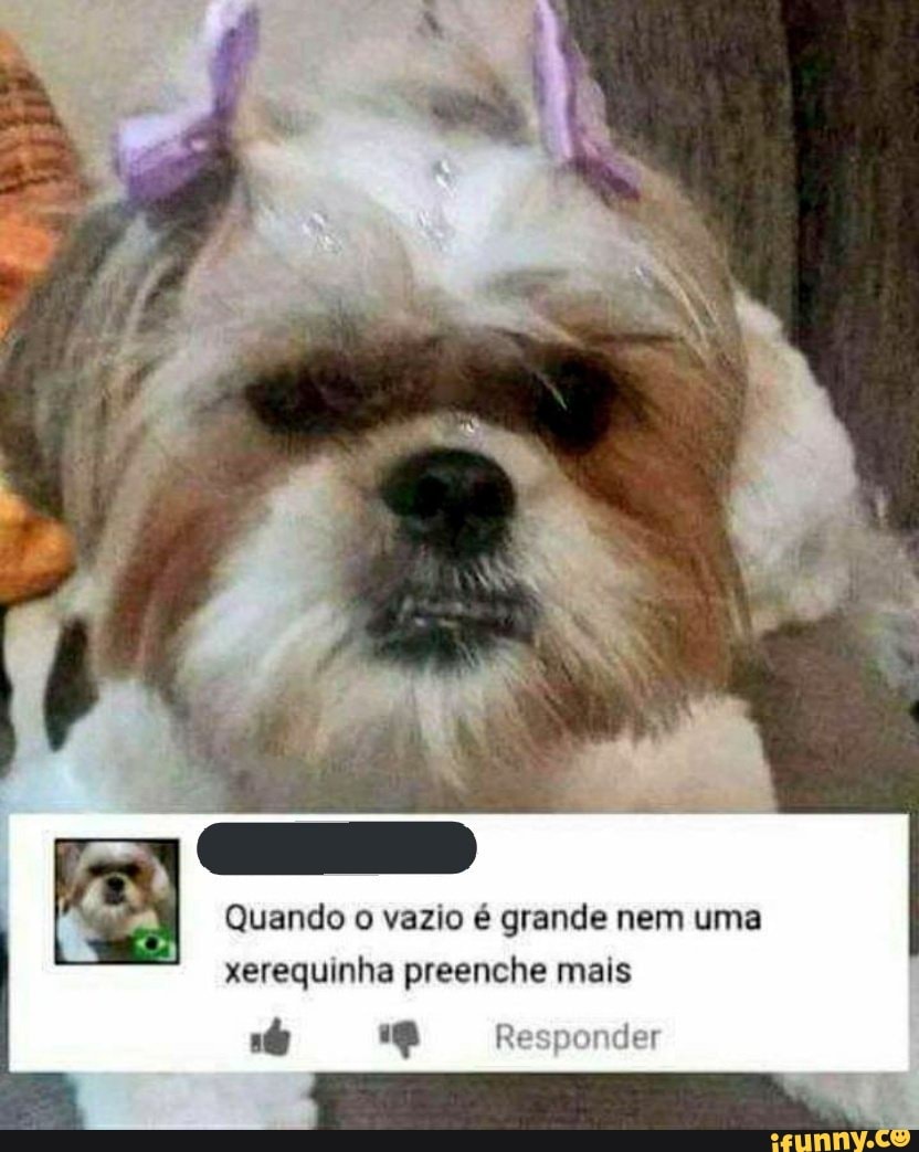 Quando o vazio é grande nem uma xerequinha preenche mais
Responda