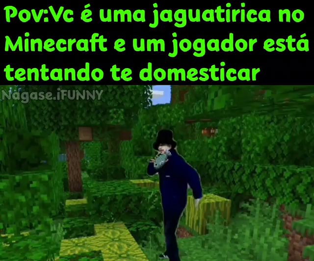 Minecraft: como domesticar um Gato e domar uma Jaguatirica no jogo