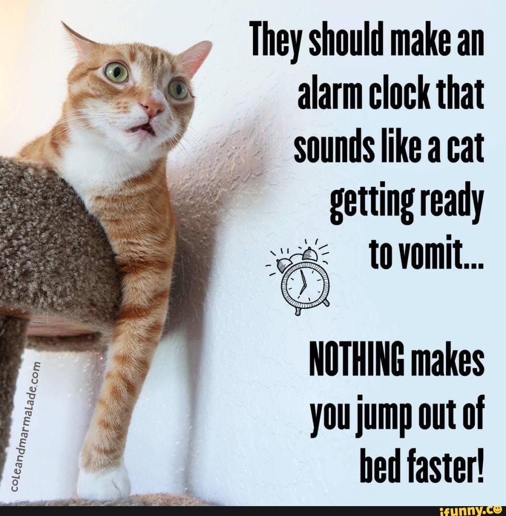 Alarm_clock memes. Best Collection of funny Alarm_clock pictures on iFunny