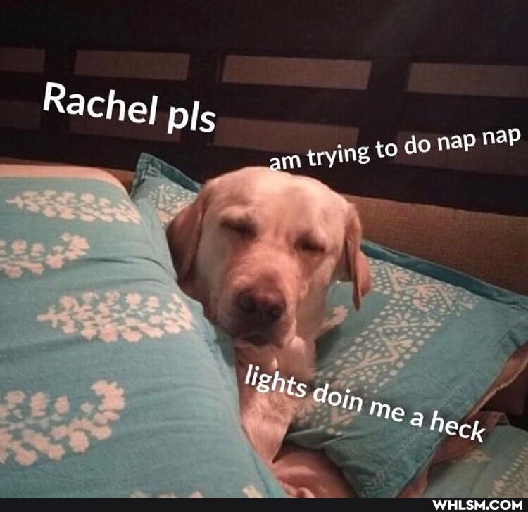 Rachel pis
am trying to do nap naP
ligh
doin
he