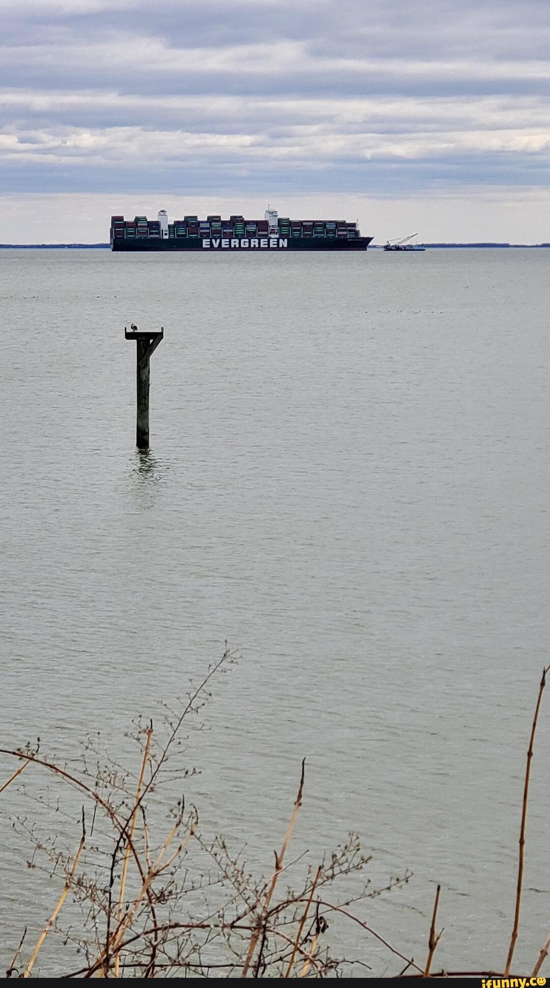 cargo-ship-memes-best-collection-of-funny-cargo-ship-pictures-on-ifunny