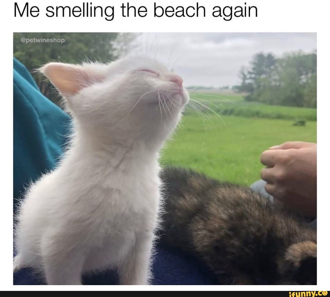 Me smelling the beach again