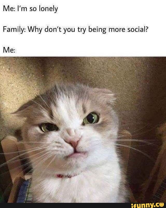 Me: I'm so lonely
Family: Why don't you try being more social?
Me: