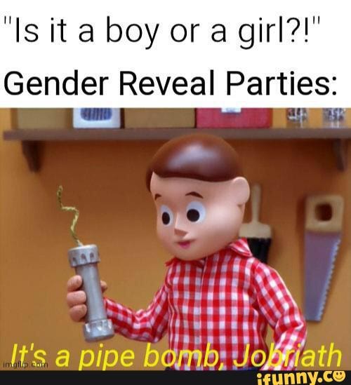 "Is it boy or a girl?!"
Gender Reveal Parties:
NZ ((reeheag
It's a pipe bomb: